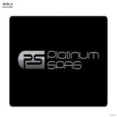 Platinum Spas Overlay Sticker for BP6013/BP21/BP613 (46184)